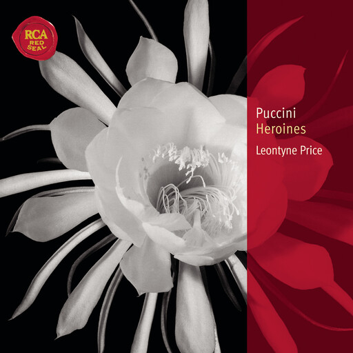 欧美性猛交xxxxbbbb
